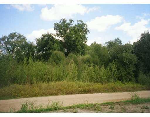 View 8 hidden SHRS 8 hidden SHRS - front exterior - Luxury lot in Smithville, TX
