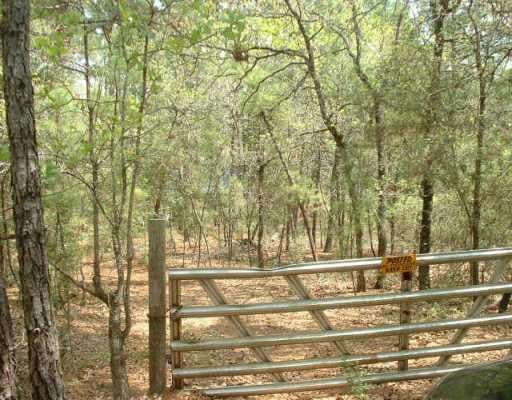 View 80 Porter RD 80 Porter RD - front exterior - Luxury lot in Bastrop, TX