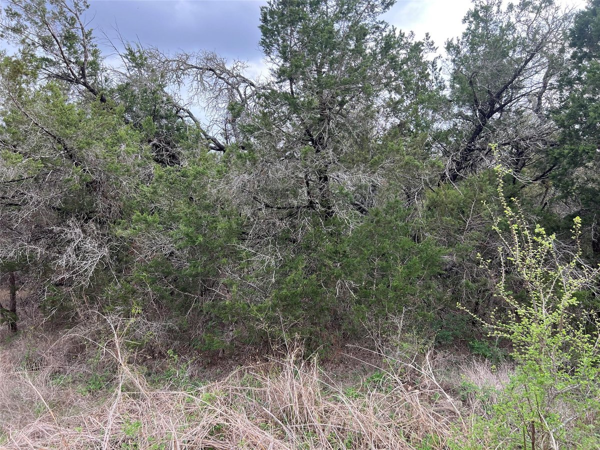 View 800 Fox Rd in Highlands East 800 Fox Rd - front exterior - Luxury lot in Highlands East, San Marcos, TX