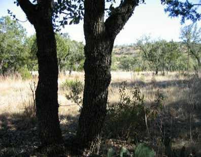 View 800 Newport DR 800 Newport DR - front exterior - Luxury lot in Spicewood, TX