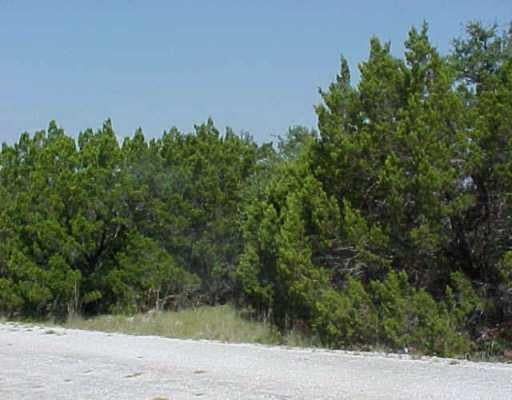 View 8012 Arapaho Trl 8012 Arapaho Trl - front exterior - Luxury lot in Lago Vista, TX
