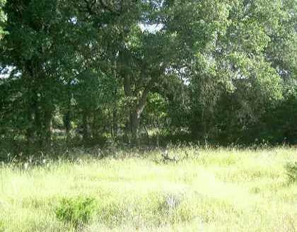 View 809 Darden Hill RD 809 Darden Hill RD - front exterior - Luxury lot in Driftwood, TX