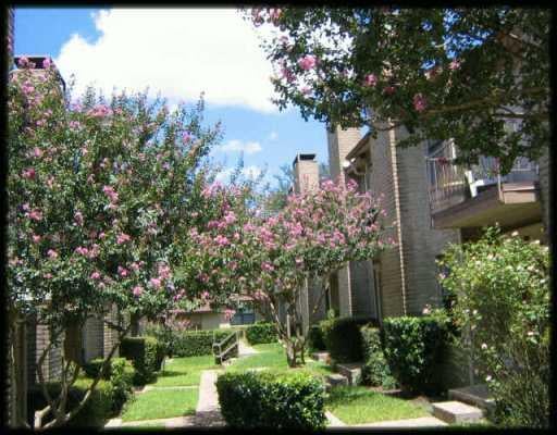 View 810 Banister Ln Unit #838 in Austin 810 Banister Ln Unit #838 - property photo 1 - Luxury home in Austin, Austin, TX