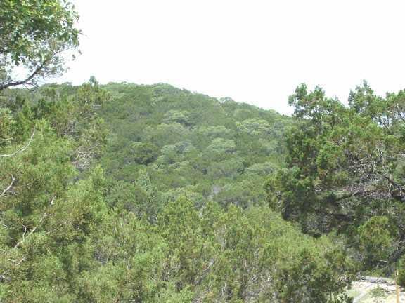 View 8202-B Breeze WAY 8202-B Breeze WAY - front exterior - Luxury lot in Jonestown, TX
