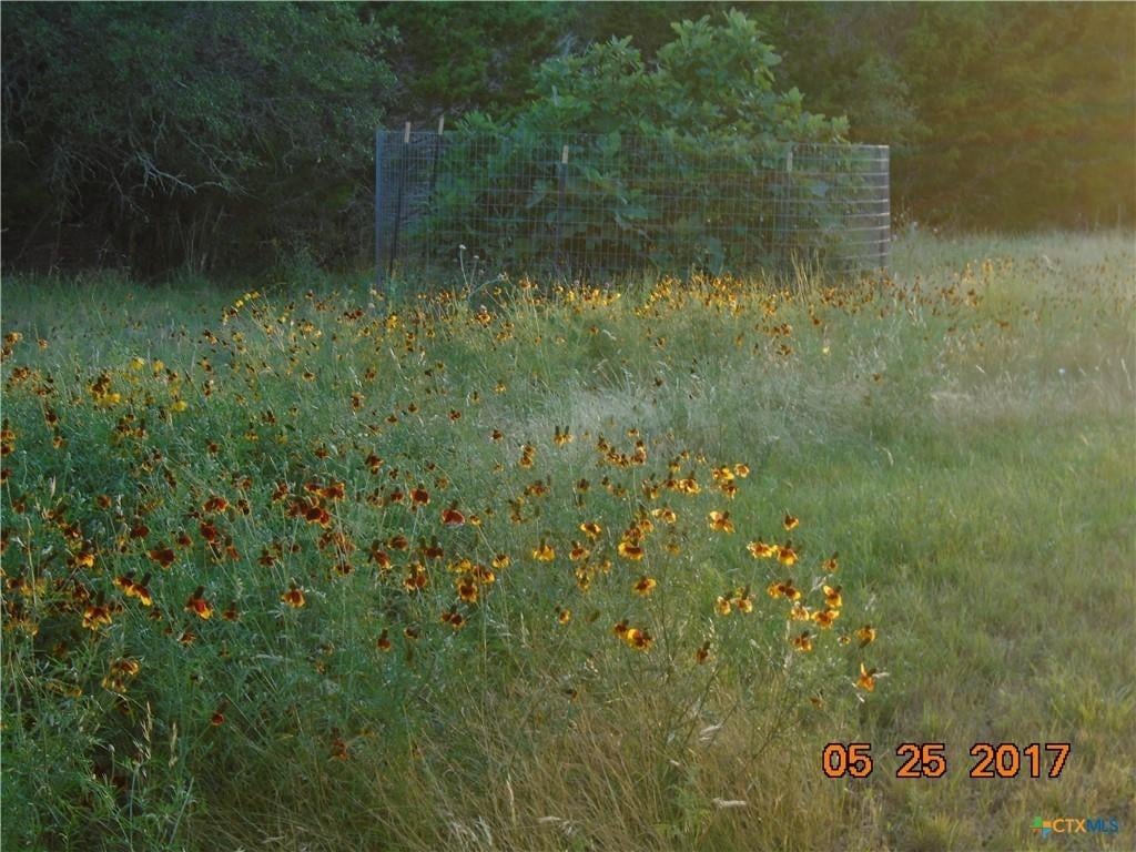 Primary bedroom at 844 Plainview Rd - Hill Country Ranches, Wimberley, TX