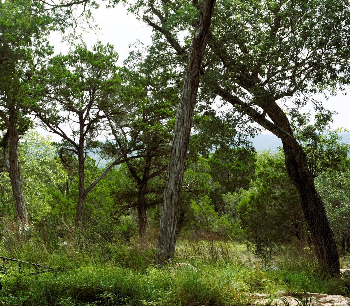View 850 Days End RD in Burnett Ranch Sec 3 850 Days End RD - front exterior - Luxury lot in Burnett Ranch Sec 3, Wimberley, TX