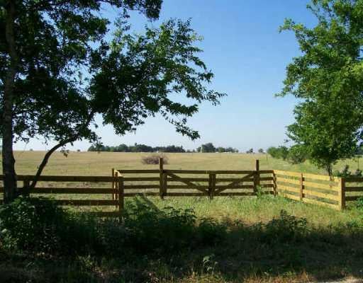 View 867 County Road 148 867 County Road 148 - front exterior - Luxury lot in Weir, TX