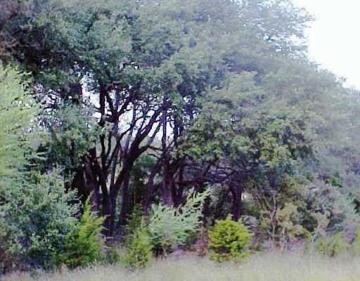 View 881 Saddleridge Dr 881 Saddleridge Dr - front exterior - Luxury lot in Wimberley, TX