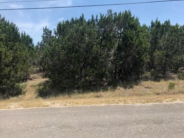 View 8915 Bar K Ranch RD 8915 Bar K Ranch RD - front exterior - Luxury lot in Lago Vista, TX