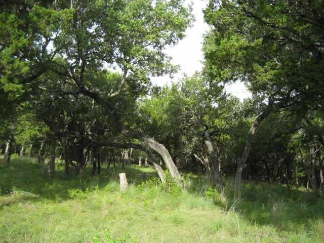 View 906 Moonlight Bay DR 906 Moonlight Bay DR - front exterior - Luxury lot in Spicewood, TX