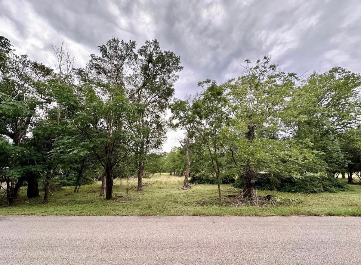 View 911 Penion Dr in Slaughter Creek Acres 911 Penion Dr - front exterior - Luxury lot in Slaughter Creek Acres, Austin, TX