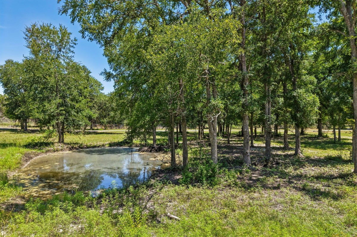 View 9240 County Road 272 in Bertram Woods 9240 County Road 272 - front exterior - Luxury home in Bertram Woods, Bertram, TX
