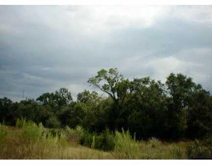 View 930 Springlake DR 930 Springlake DR - property photo 1 - Luxury lot in Dripping Springs, TX