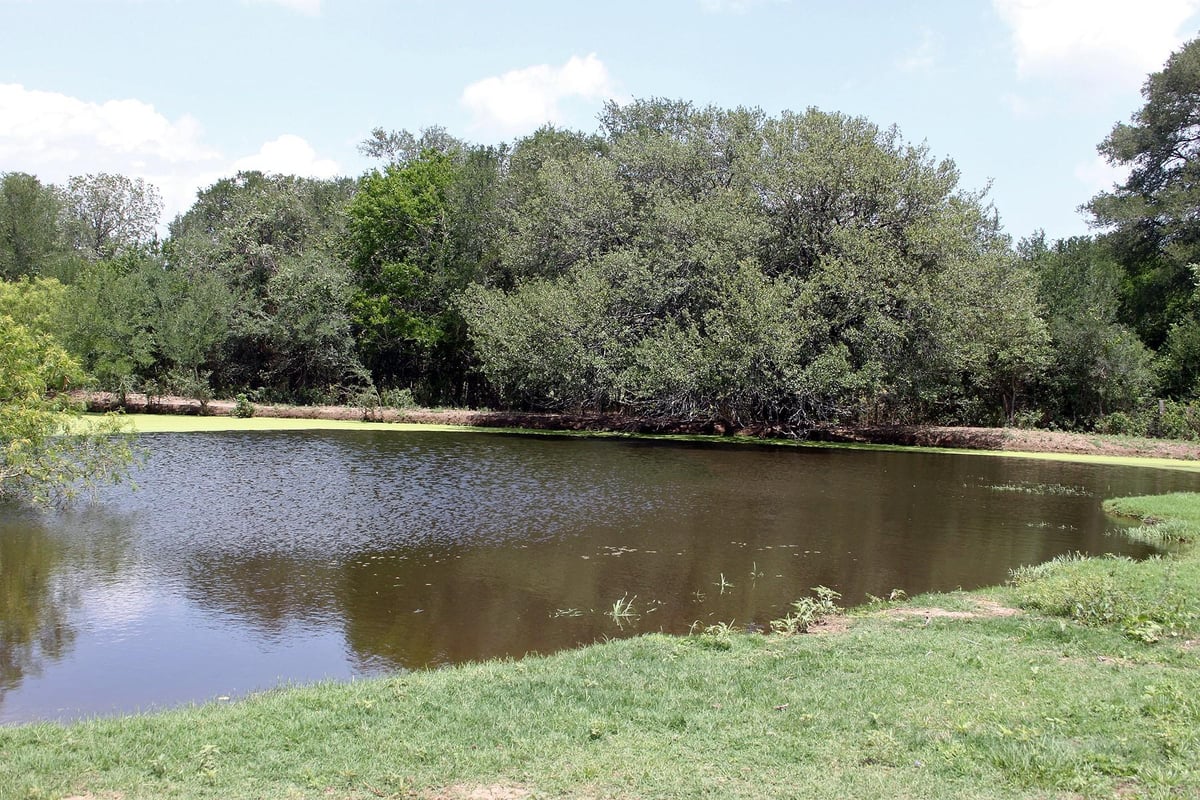 View 9411 FM 86 Hwy 9411 FM 86 Hwy - front exterior - Luxury home in Lockhart, TX