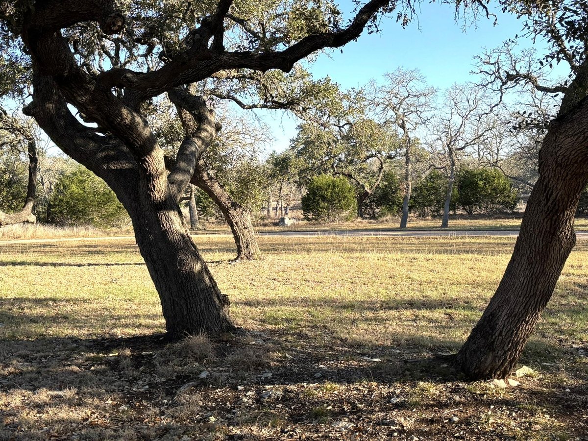 View 944 Fm 3351 in Boerne 944 Fm 3351, photo 1 of 11, Boerne, Boerne, TX