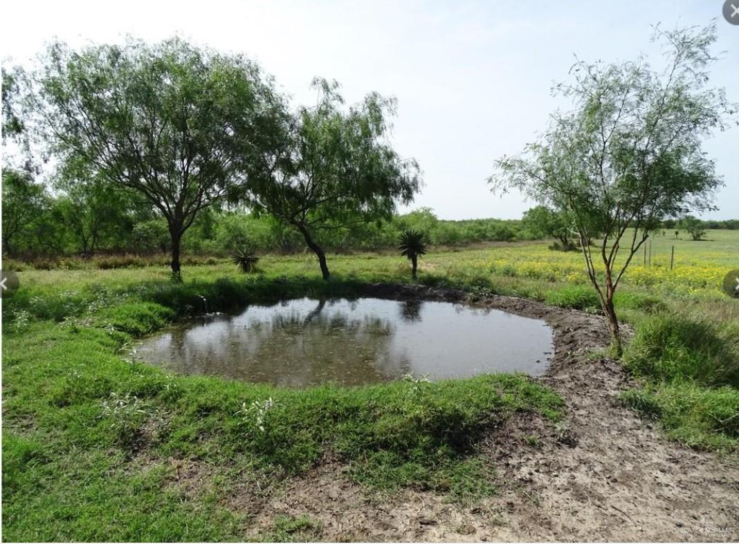 View FM 2294 FM 2294 in San Isidro FM 2294 FM 2294, photo 1 of 14, San Isidro, San Isidro, TX