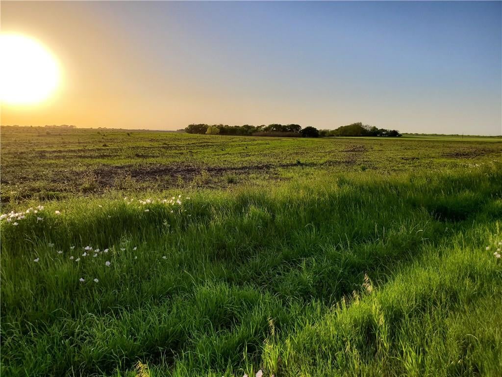 View Lot 1 FM 619 Lot 1 FM 619 - front exterior - Luxury lot in Taylor, TX