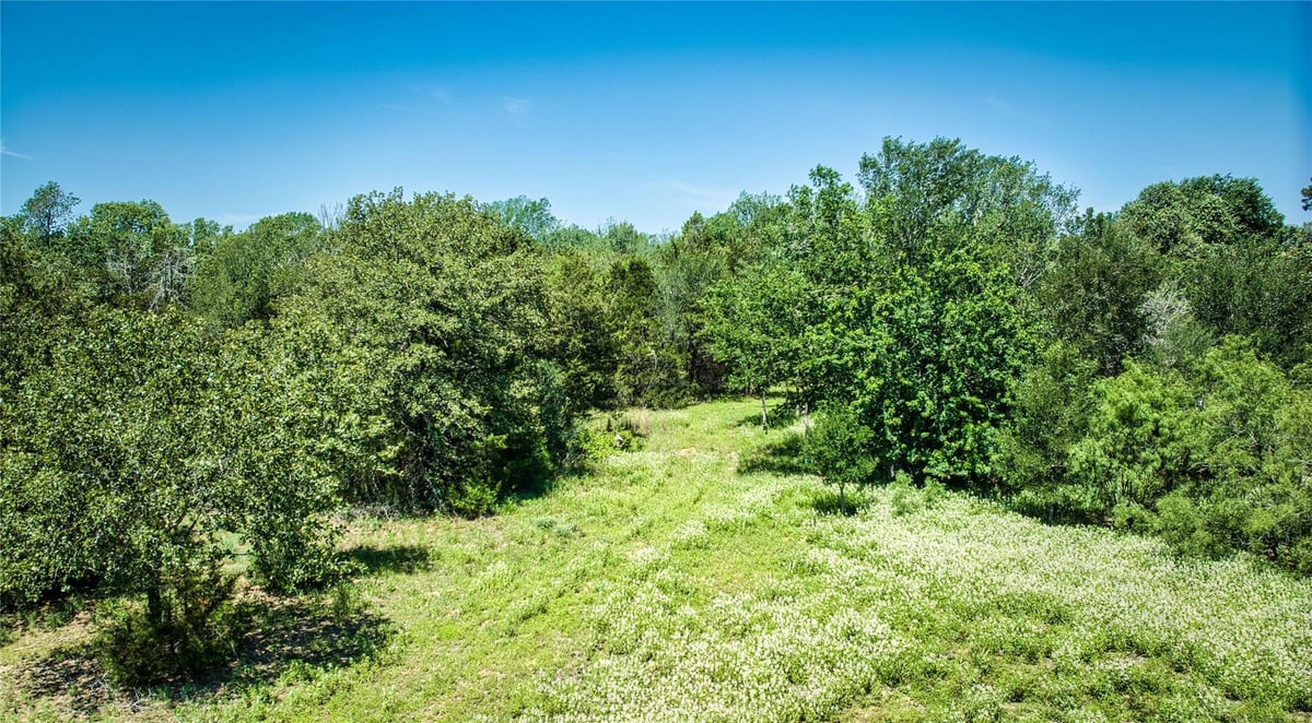 View Lot 10C Foothill RD in Lake Bastrop Estates Lot 10C Foothill RD - front exterior - Luxury lot in Lake Bastrop Estates, Bastrop, TX