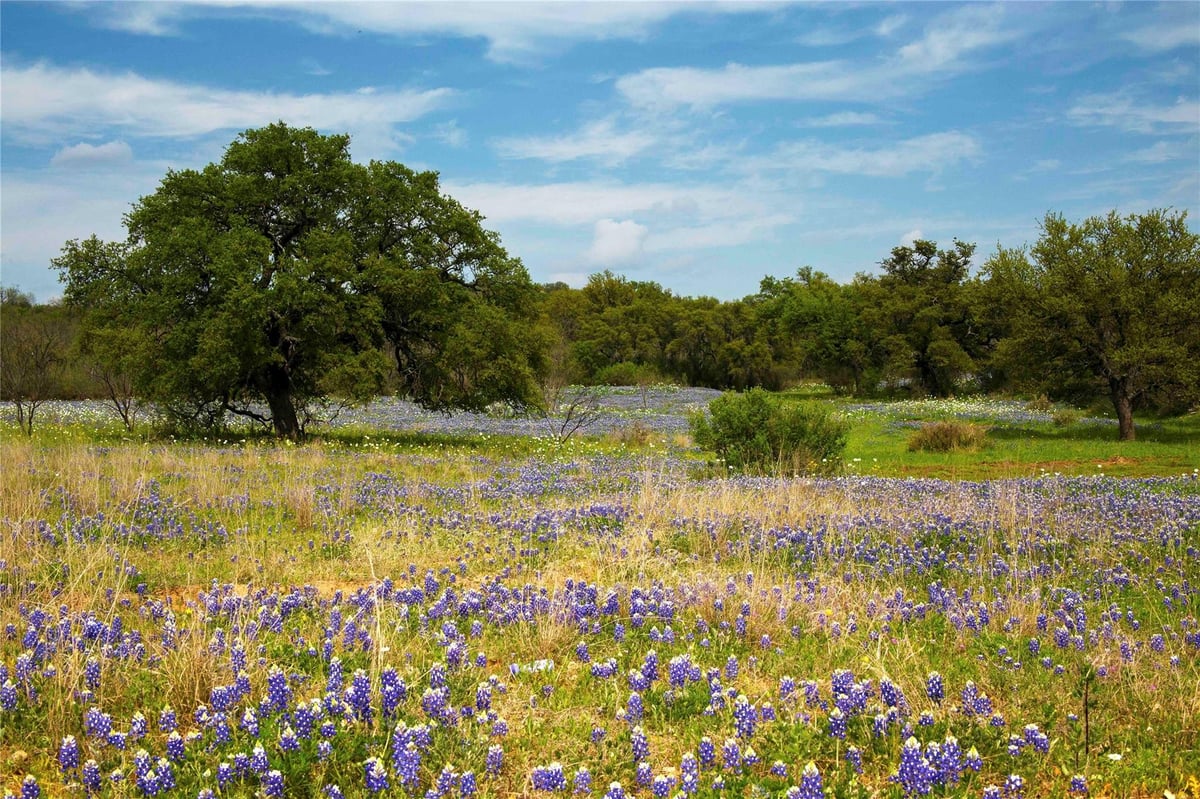 View Lot 11 Maddalena Ln in Maddalena Ranch Lot 11 Maddalena Ln - front exterior - Luxury lot in Maddalena Ranch, Dripping Springs, TX