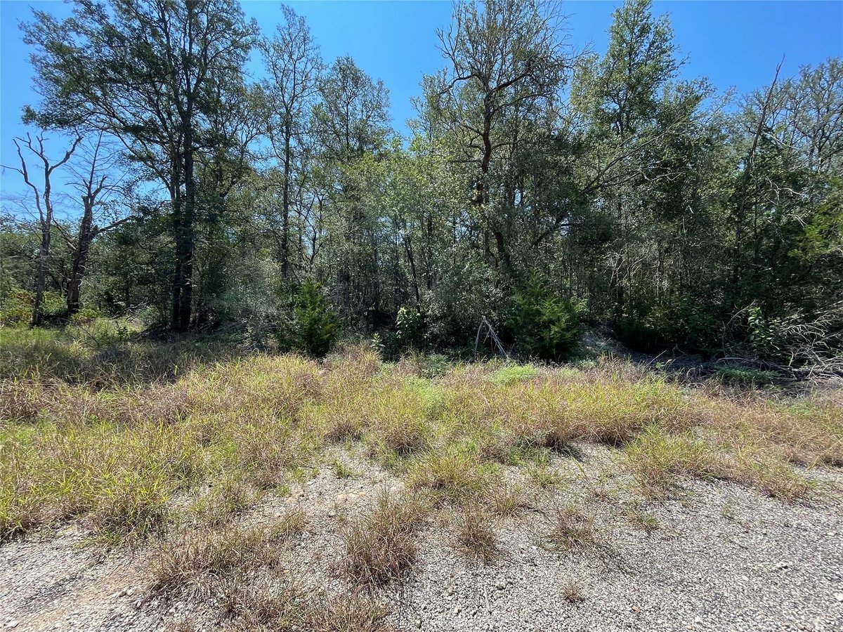 View Lot 1112 Kawanui DR in Tahitian Village, Lot 1112 Kawanui DR - property photo 1 - Luxury lot in Tahitian Village,, Bastrop, TX