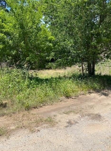 View Lot 1123 Koali Dr in Tahitian Village, Lot 1123 Koali Dr - front exterior - Luxury lot in Tahitian Village,, Bastrop, TX