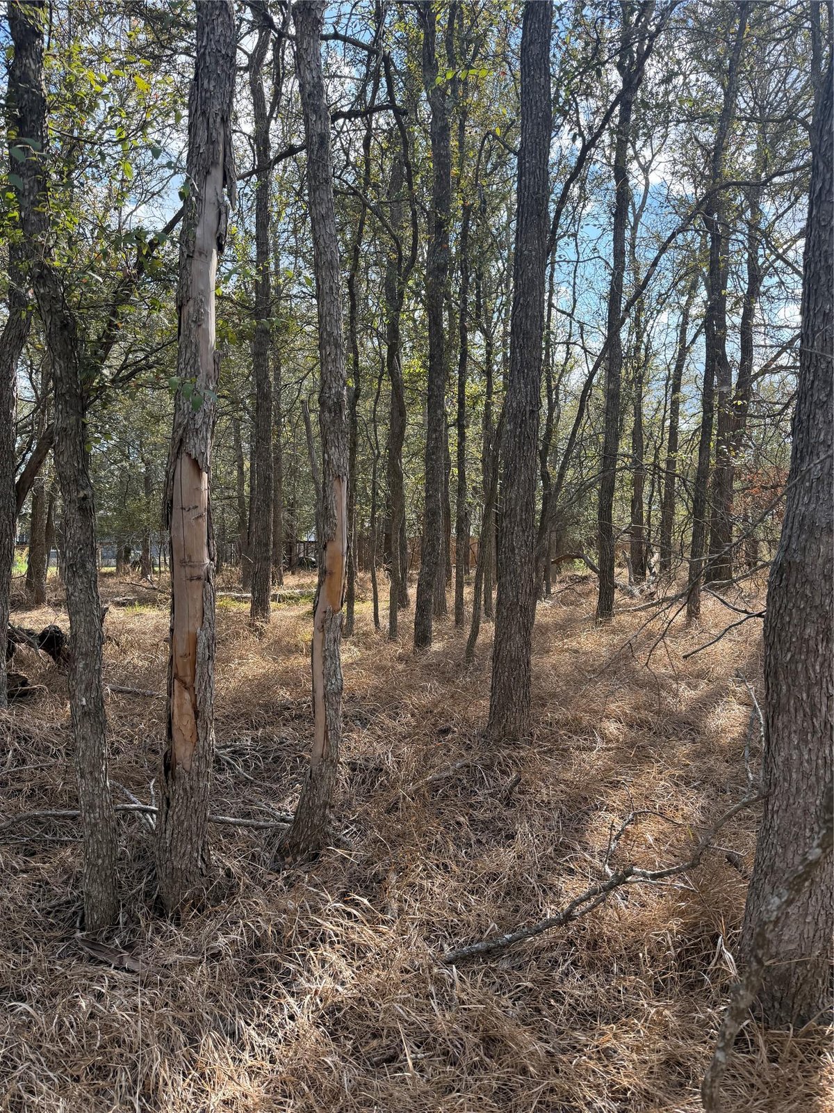 View Lot 118 W Keomuku LN in Bastrop Lot 118 W Keomuku LN, photo 1 of 1, Bastrop, Bastrop, TX