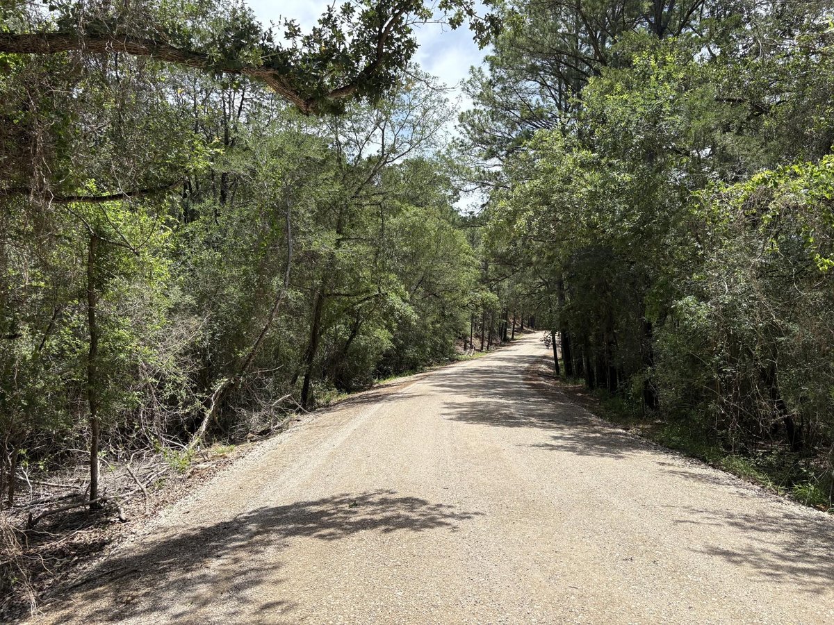 View Lot 1228 & 1229 Hanauma DR in Tahitian Village Lot 1228 & 1229 Hanauma DR - front exterior - Luxury lot in Tahitian Village, Bastrop, TX