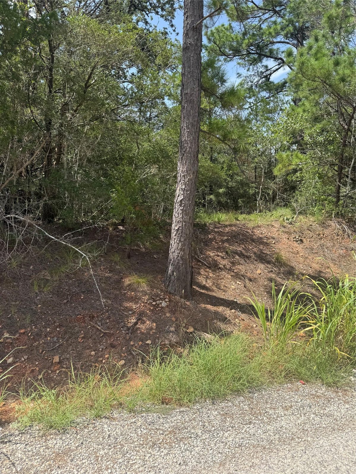 View Lot 1252 TBA Hanauma DR in Bastrop Lot 1252 TBA Hanauma DR, photo 1 of 11, Bastrop, Bastrop, TX