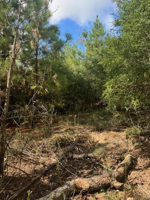 View Lot 1339 Tahitian Dr in Tahitian Village, Lot 1339 Tahitian Dr - front exterior - Luxury lot in Tahitian Village,, Bastrop, TX