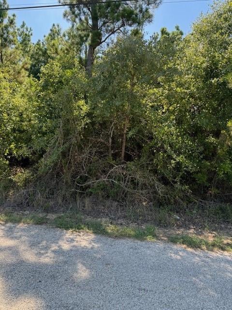 View Lot 1355 N Kaupo DR in Tahitian Village, Lot 1355 N Kaupo DR - front exterior - Luxury lot in Tahitian Village,, Bastrop, TX