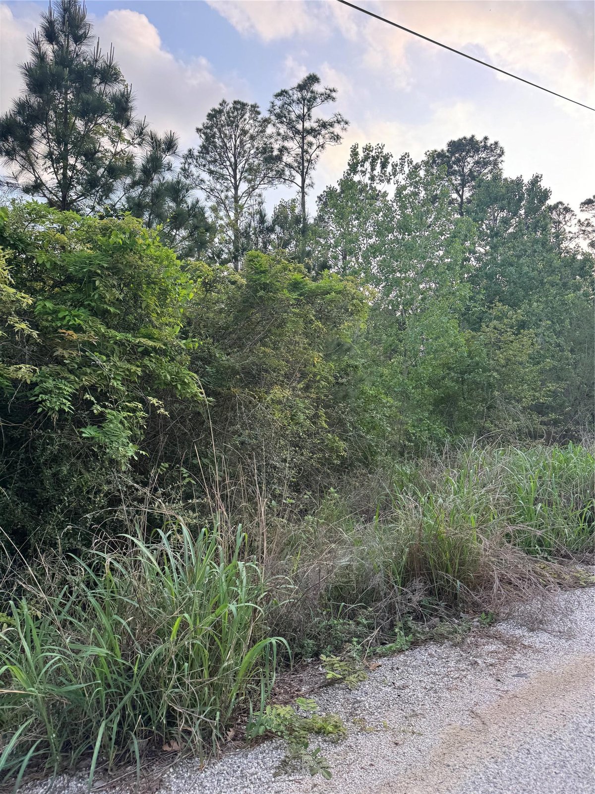 View Lot 1386 N Pahihi Dr in Tahitian Village Lot 1386 N Pahihi Dr - front exterior - Luxury lot in Tahitian Village, Bastrop, TX