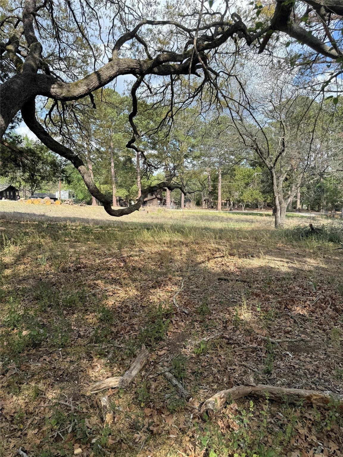 View Lot 141 Pine Song in Lake Bastrop Estates Lot 141 Pine Song - front exterior - Luxury lot in Lake Bastrop Estates, Bastrop, TX