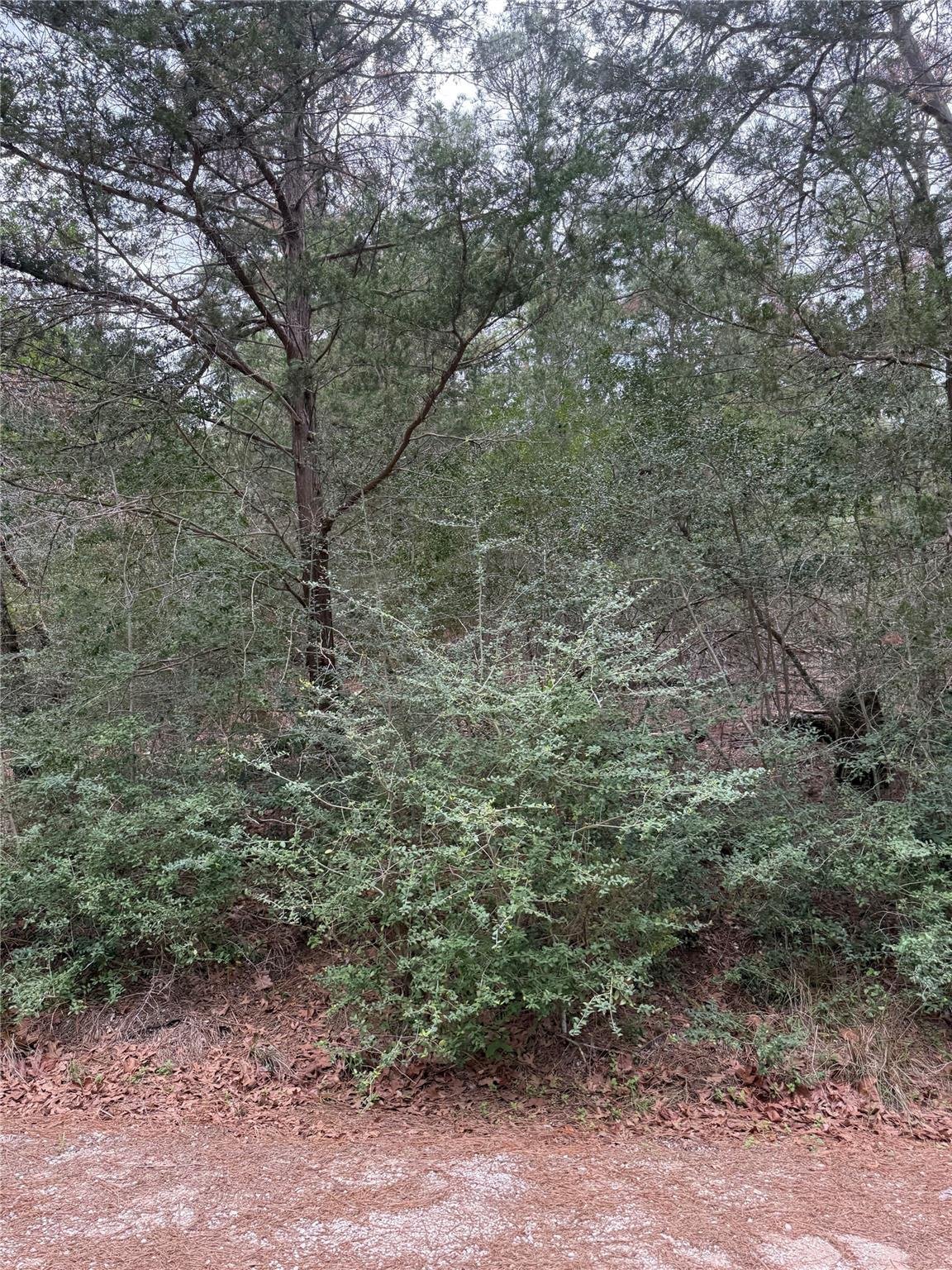 View Lot 1428 Keeau Ct in TAHITIAN VILLAGE Lot 1428 Keeau Ct - front exterior - Luxury lot in TAHITIAN VILLAGE, Bastrop, TX