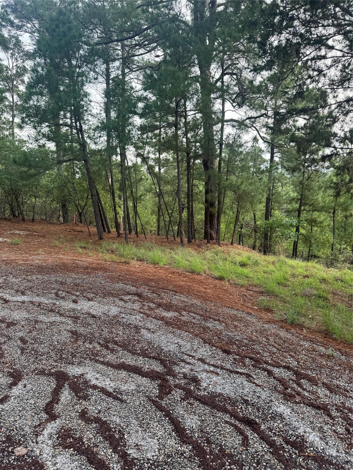 View Lot 1492 Haleakala in Tahitian Village Lot 1492 Haleakala - front exterior - Luxury lot in Tahitian Village, Bastrop, TX