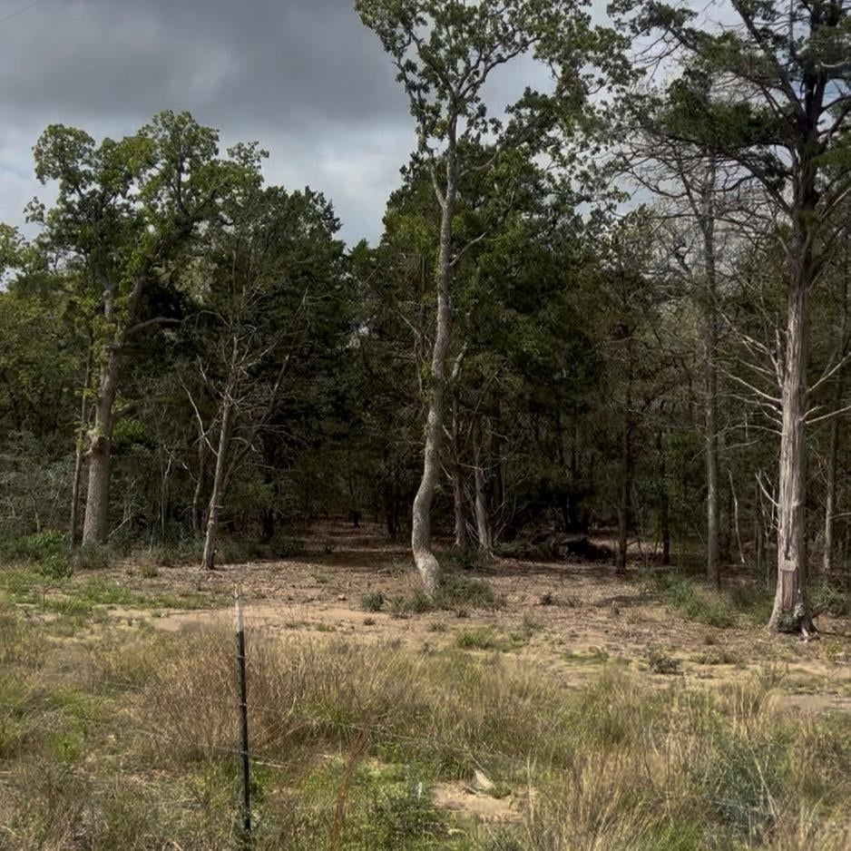 View Lot 15 Antioch RD in Smith, Charles S Lot 15 Antioch RD - property photo 1 - Luxury lot in Smith, Charles S, Paige, TX