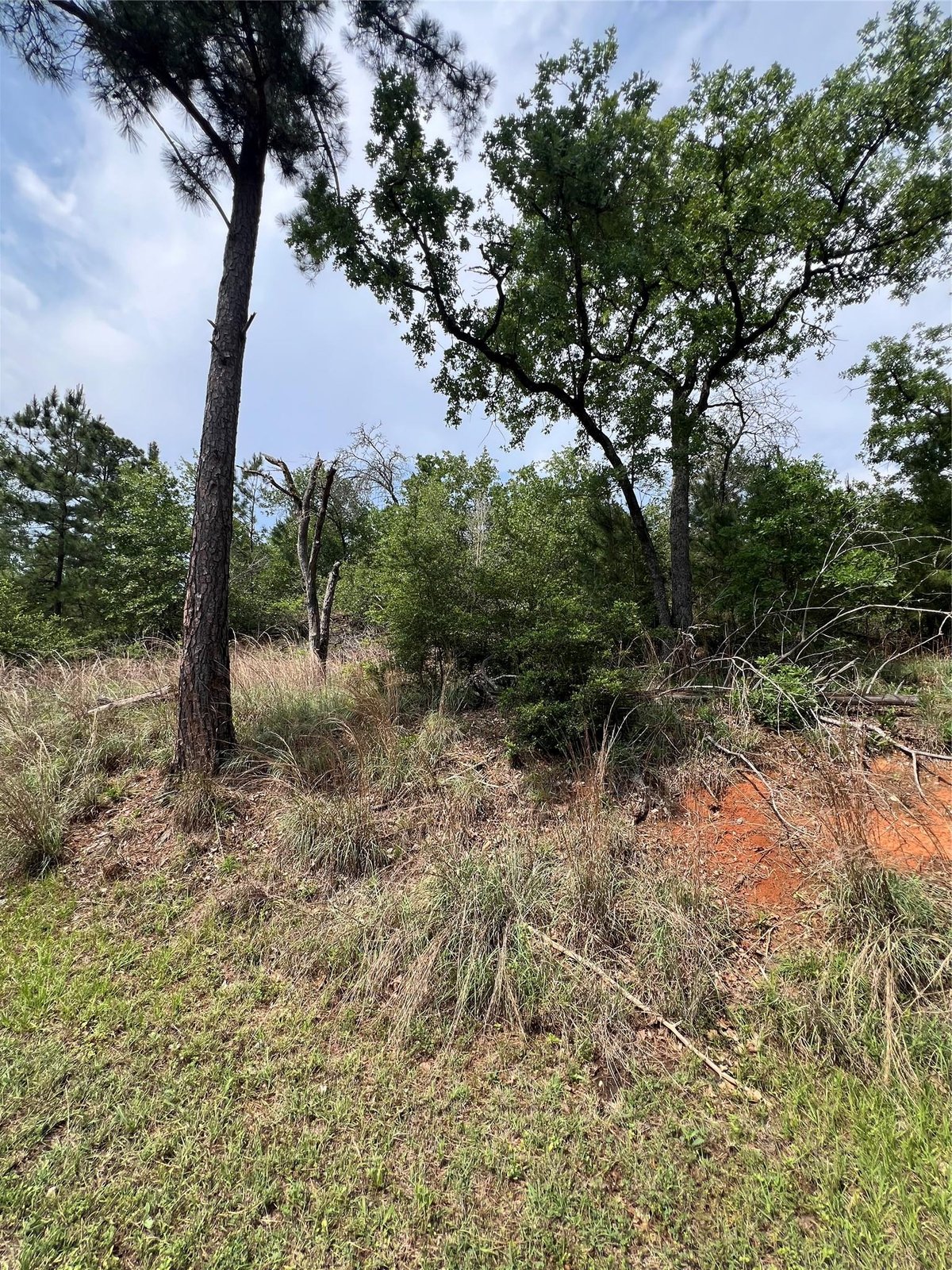 View Lot 1671 TBD Moku Ct in TAHITIAN VILLAGE Lot 1671 TBD Moku Ct - front exterior - Luxury lot in TAHITIAN VILLAGE, Bastrop, TX