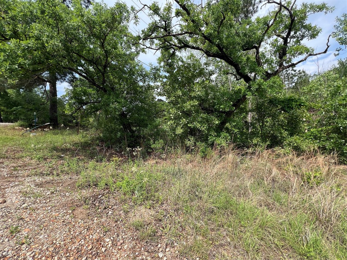 View Lot 1672 TBD Moku Ct in TAHITIAN VILLAGE Lot 1672 TBD Moku Ct - front exterior - Luxury lot in TAHITIAN VILLAGE, Bastrop, TX