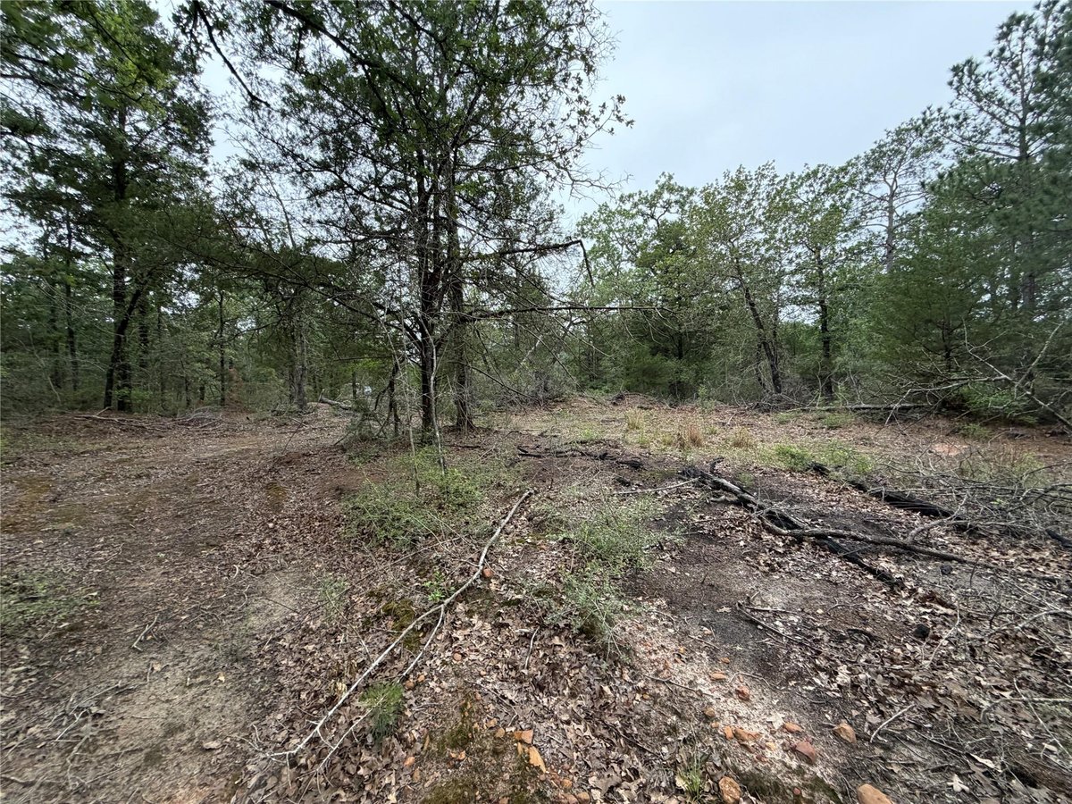 View Lot 17 Old Antioch Rd in Turkey Run Lot 17 Old Antioch Rd - front exterior - Luxury lot in Turkey Run, Smithville, TX