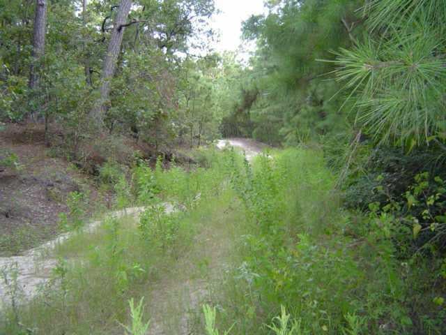 View Lot 17 Timber LN Lot 17 Timber LN - front exterior - Luxury lot in Bastrop, TX