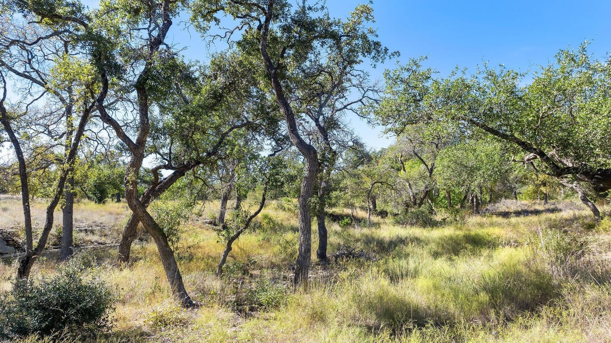 View Lot 18 Mesa Ranch Rd Rd in Mesa Verde Texas Lot 18 Mesa Ranch Rd Rd - front exterior - Luxury lot in Mesa Verde Texas, Dripping Springs, TX