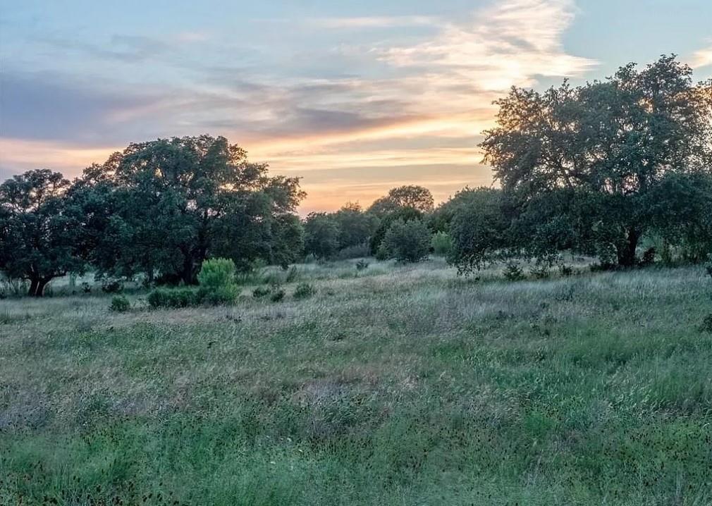 View Lot 185 Three Creeks Dr in Ranches At Canyon Creek Lot 185 Three Creeks Dr - front exterior - Luxury lot in Ranches At Canyon Creek, Bertram, TX
