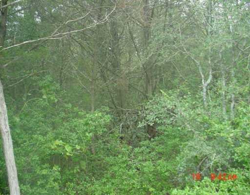 View Lot 19 Sunset HTS Lot 19 Sunset HTS - front exterior - Luxury lot in Bastrop, TX