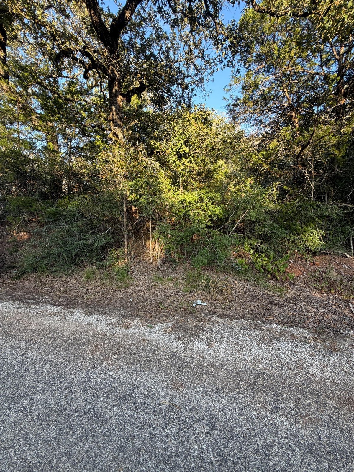 View Lot 194 Kaelepulu DR in Tahitian Village, Lot 194 Kaelepulu DR - property photo 1 - Luxury lot in Tahitian Village,, Bastrop, TX