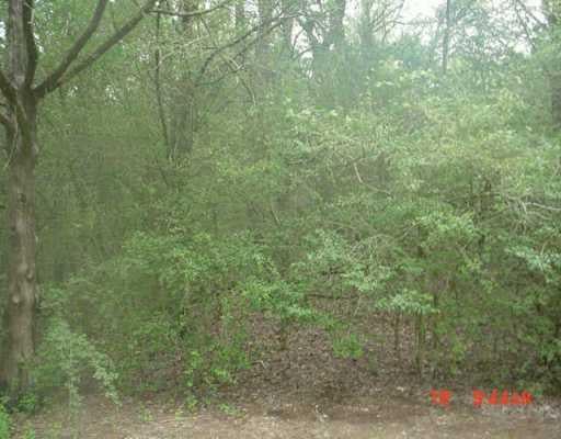 View Lot 20 Sunset HTS Lot 20 Sunset HTS - front exterior - Luxury lot in Bastrop, TX