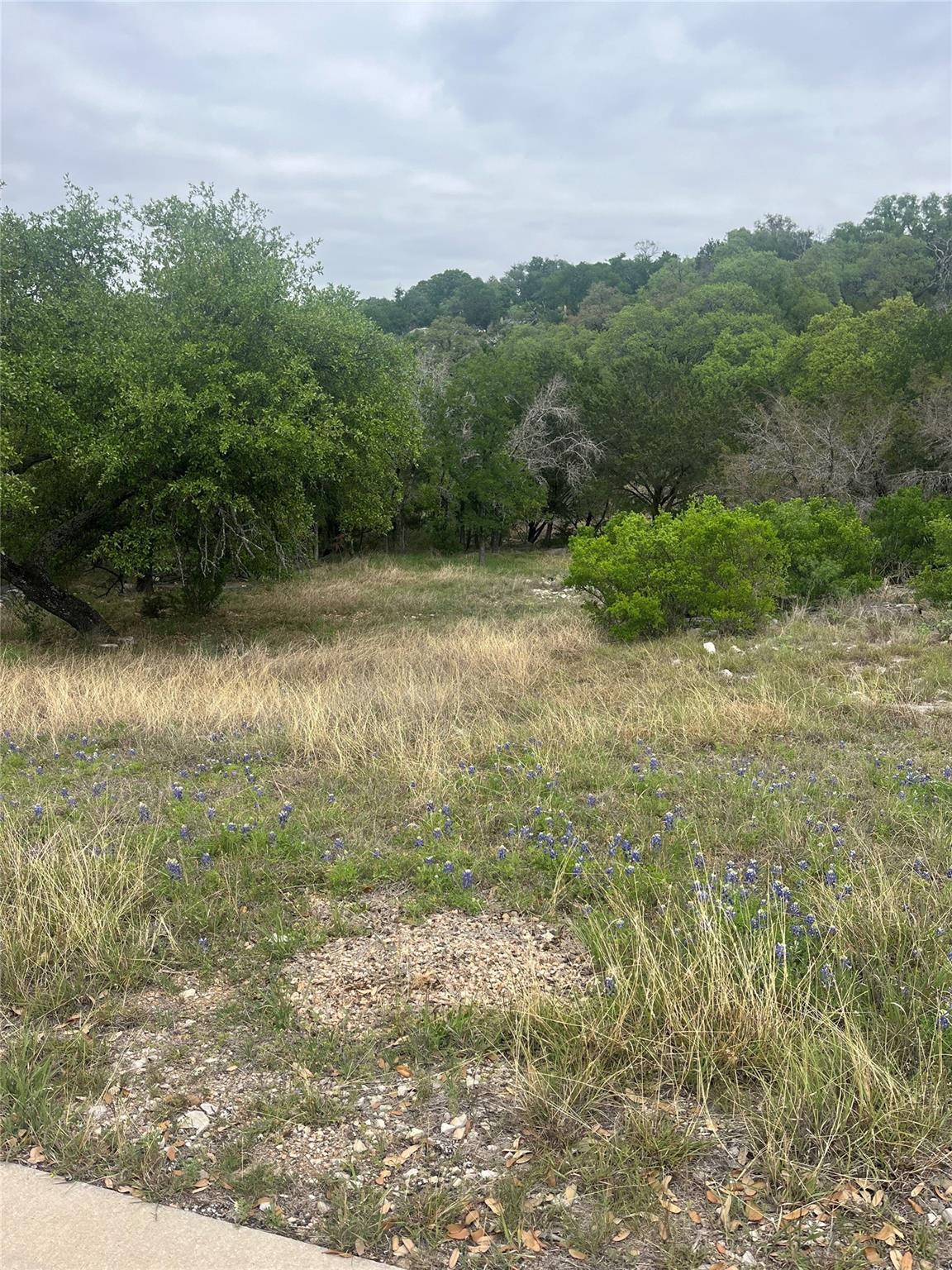 View Lot 20179 Quick Draw in Horseshoe Bay Proper Lot 20179 Quick Draw - front exterior - Luxury lot in Horseshoe Bay Proper, Horseshoe Bay, TX