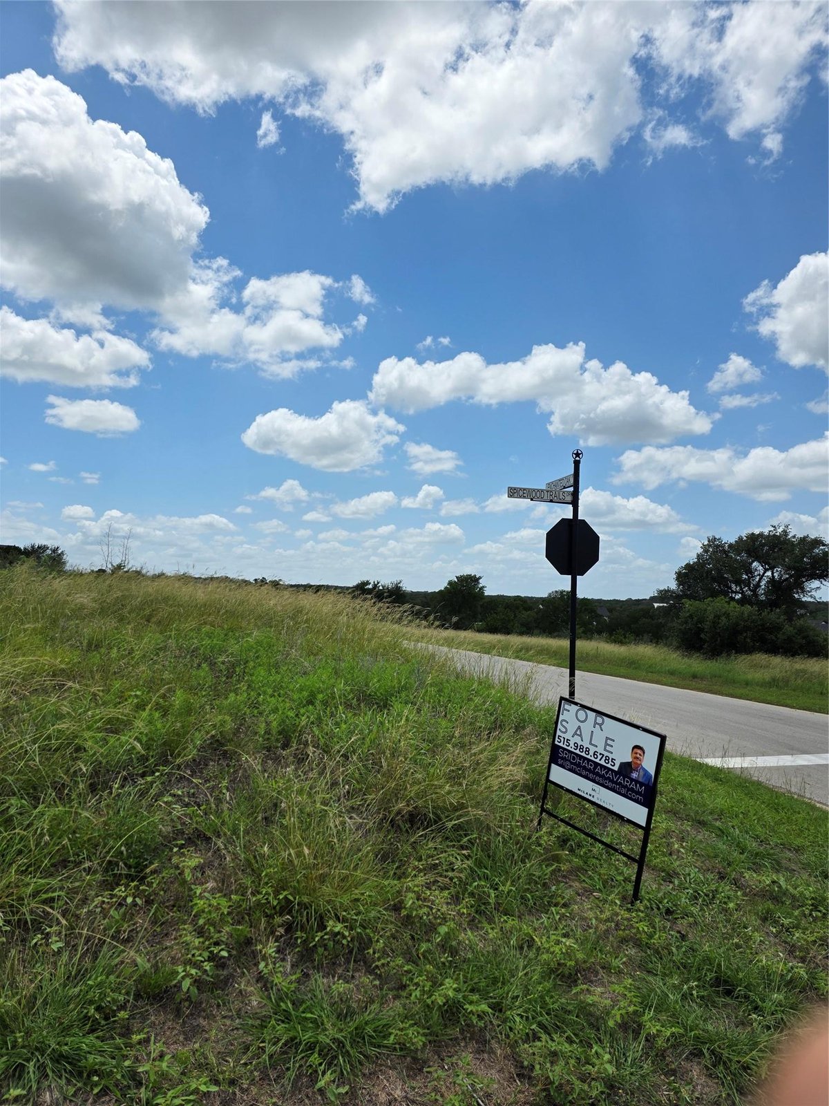 View LOT 206 Enchanted Oak Pt in Spicewood Trails LOT 206 Enchanted Oak Pt - front exterior - Luxury lot in Spicewood Trails, Spicewood, TX