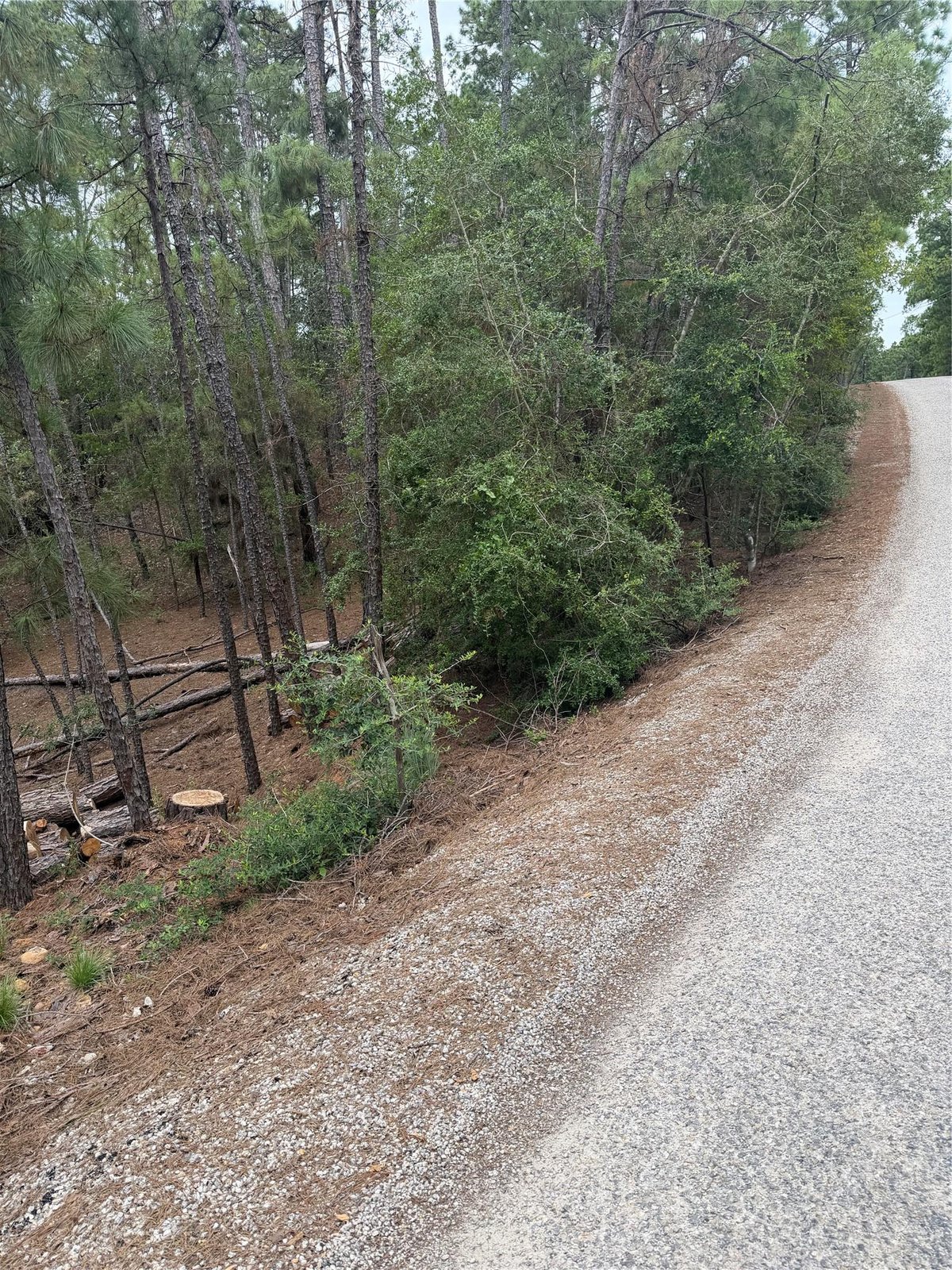View Lots 213 and 214 Hekili DR in Tahitian Village, Lots 213 and 214 Hekili DR - property photo 1 - Luxury lot in Tahitian Village,, Bastrop, TX