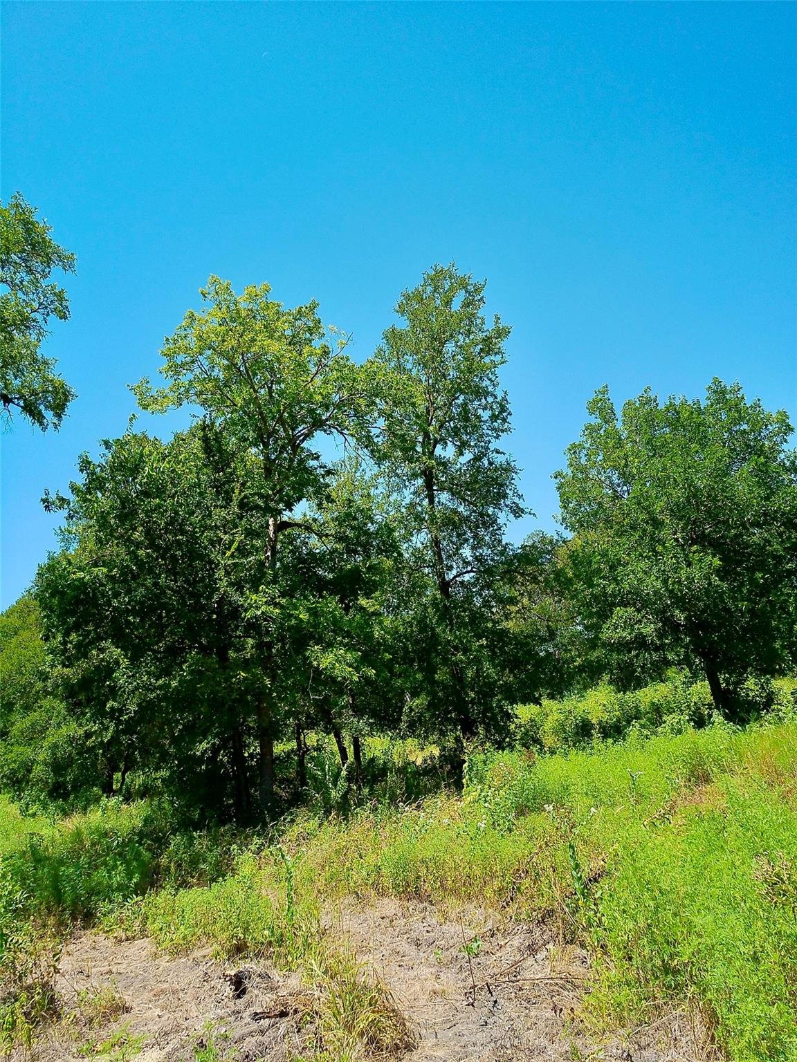 View Lot 22 Serenity DR in Bertram Lot 22 Serenity DR, photo 1 of 1, Bertram, Bertram, TX