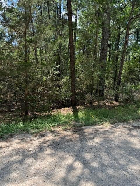 View Lot 250 Hekili Dr in Tahitian Village, Lot 250 Hekili Dr - front exterior - Luxury lot in Tahitian Village,, Bastrop, TX
