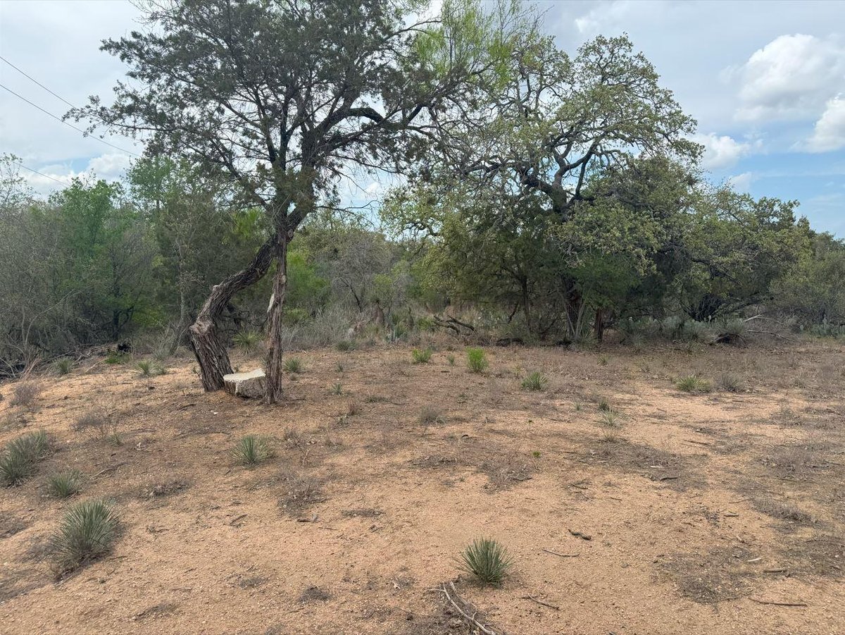 View Lot 260 W Briarway Dr in Greenbriar Lot 260 W Briarway Dr - front exterior - Luxury lot in Greenbriar, Granite Shoals, TX